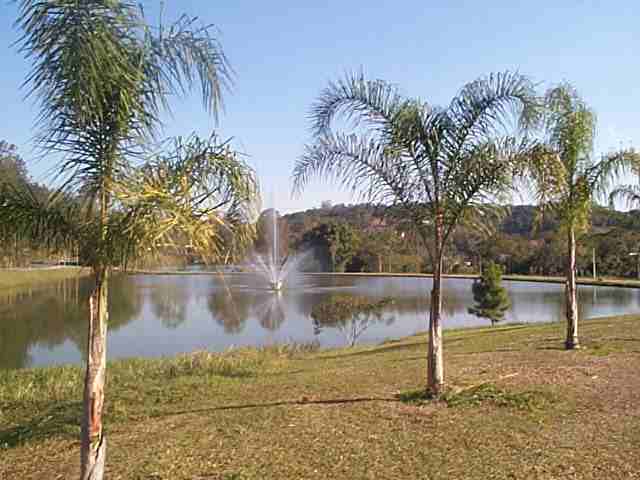 Lago com Chafariz