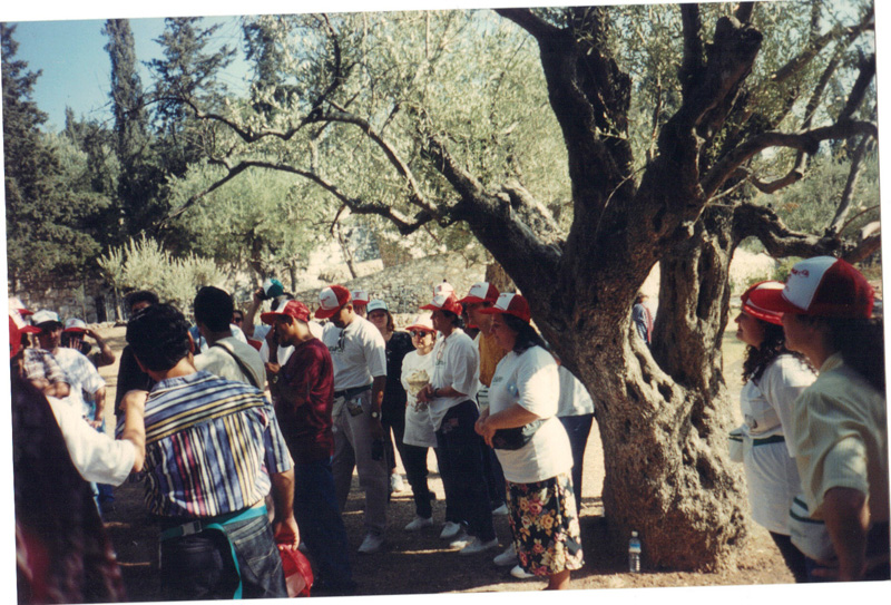 Jardim-do-Getsemani