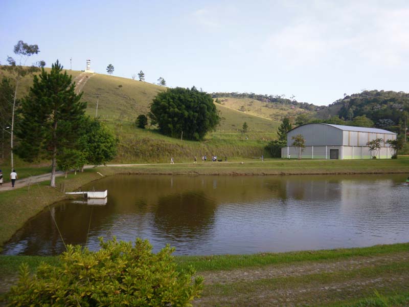 P2200391